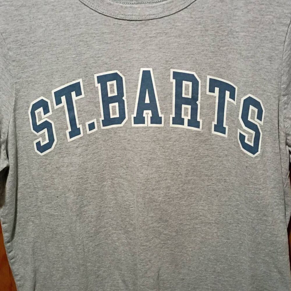 Zoe + Liv St. Barts T-shirt Large Grey Soft - Picture 1 of 6